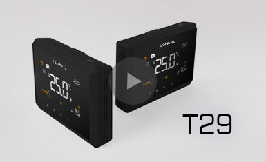 Дисплей продукта T29